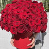 Chic box of 50 gorgeous red roses