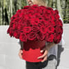 Chic box of 50 gorgeous red roses