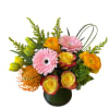 Pink gerbera daisies, yellow roses, yellow ranunculus, pro tea, yellow tulips and