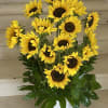 10 Sunflowers, Deluxe 15 Sunflowers, Premium 20 Sunflowers

