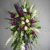 A unique and beautiful combination of vivid purples contrasted with green. Purple