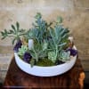 Different type Succulents and nice pieces Amethyst in round cement vase. 13&quot;w