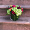 Compact vase arrangement with spray roses, hydrangea, and carnations. 