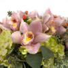  This lovely design is sure to brighten up any desk or