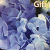 Introducing the Exceptional Flowers &amp; Gifts $75 Gift Card, the perfect gift