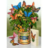 Experience the wonders of a woodland meadow: colorful butterflies, soft buttercups, and