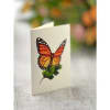 Experience the wonders of a woodland meadow: colorful butterflies, soft buttercups, and