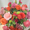 .Indulge in the vibrant hues of our Orange, Pink, and Hot Pink