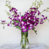 Elegant purple orchids in a glass vase.