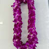 Purple  Orchid