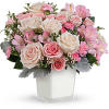 Nothing&#039;s sweeter than the prettiest pink and cream roses, besides the new