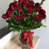 Five Dozen Red Roses