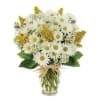 White daisies with yellow centers, offset by yellow solidago and white Monte