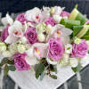 Discover the epitome of natural beauty and refined elegance with our &quot;Ethereal