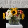 hydrangea, sunflowers, spray roses, 