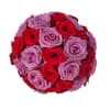 Show your love with our beautiful Red Freedom and Lavender Cool Water