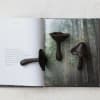 Approximately 4&quot; H Cast Iron Mushroom 

There are three styles available, One