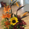 Exotic, Orange, and Red Flowers Filed with Yellow details