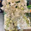 A vision of pure elegance, this all-white bridal bouquet captures the essence