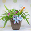 Send this beautiful 8&#039;&#039; Medium Patio Pot Planter mixed with outdoors plants