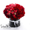 Two dozen red roses and burgundy cymbidium in a matte box with