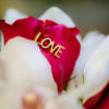 They&#039;ll love this cute pav&eacute; of roses and orchids on a bed