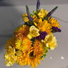 Named for the star that lights our lives every day, this radiant