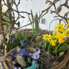 Handmade summer baskets filled with a variety of summer flowers! The perfect