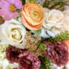 Don&#039;t miss out on the opportunity to embrace the captivating beauty of