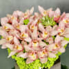 Beverly Hills Florist presents a beautiful array of Pink Cymbidium Orchids and