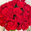 A romantic and desirable rose, long stemmed to create a more elegant