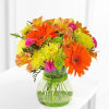 Pick a day - any day - to tell someone how special