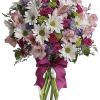 Looking for the prettiest arrangement in town? We&#039;ve got the perfect all-around
