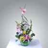 Swirling lily grass gracefully flows upward through a field of fresh flowers.