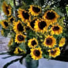 20 Sunflowers arranged in a vase with greenery and filler flowers.


