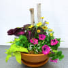 The perfect porch planter! Included is a mixture of full-sun annuals, that