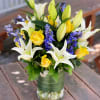 - 3 Stems White Lilies
- 6 Yellow Roses
- 3 Blue Delphinium
- 5