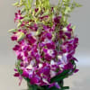 An ocean of purple orchids in a glass vase. You&#039;ll swim in
