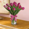 Tulips are a sure sign of spring. Send a selection of tulips