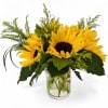 Dreaming of Sunshine Bouquet, beautiful sunflowers in tapered clear glass vase, accented