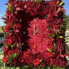 Mixed red flowers for a rectangle. A clock is placed in the