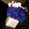 Brighten the home with the peace and beauty of a bright blue