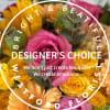  Designers Choice Bright and beautiful is designed at full discretion of