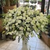 An elegant expression of love and remembrance

Honor a cherished life with the