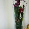 Glass container Elegantly and modern with one of the most beautiful exotic