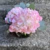 This arrangement is hydrangeas and Silver dollar eucalyptus and a 6 inch