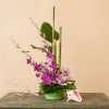 A lovely little tropical arrangement of two types of orchids- dendrobium and
