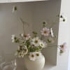 Our signature ceramic everyday pot. Perfect for displaying every stem. 

* Vase