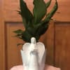 Angel Kisses is a wonderful tribute and keepsake ceramic container paired with