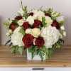 red roses, white roses, hydrangea, lisianthus in a white ceramic square vase